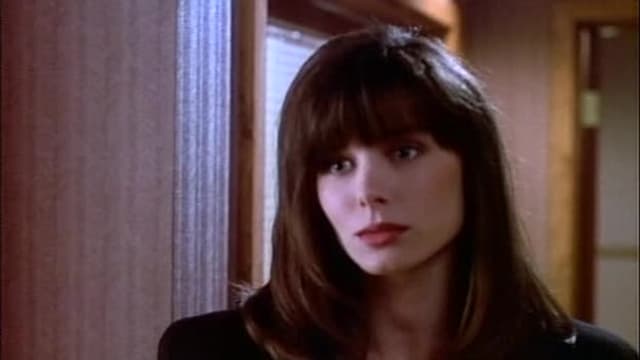 S13:E22 - Little Girl Lost