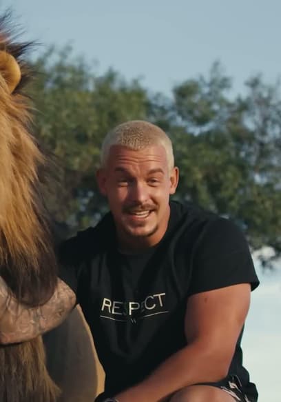 S01:E09 - This Time, the Lions Go Crazy + Kobe the Cheetah Hunts a Snake poster