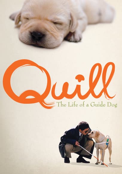 Quill: The Life of a Guide Dog