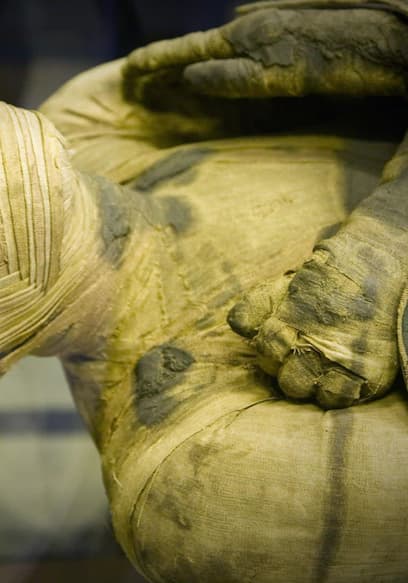 S09:E05 - Secrets of the Mummies poster