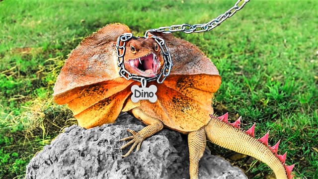 S01:E04 - I Got the Strangest Pets - Leech and Dinosaur!