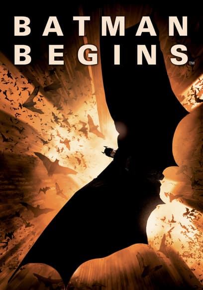 Batman Begins