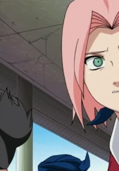S02:E14 - Bushy Brow’s Jutsu: Sasuke Style! poster