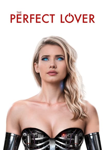 The Perfect Lover poster