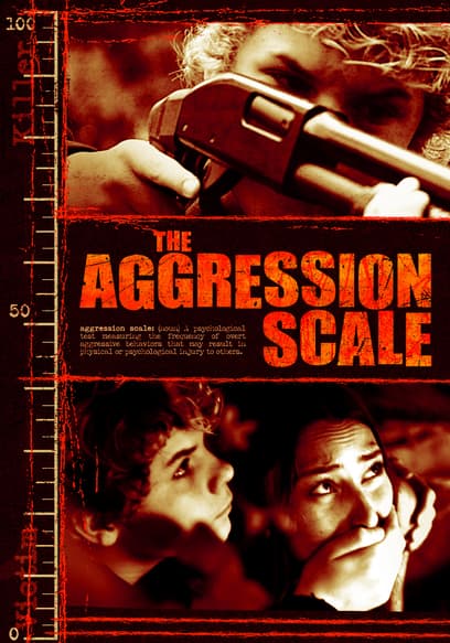 The Aggression Scale