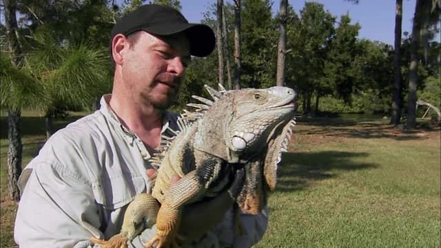 S02:E01 - Snake Invasion