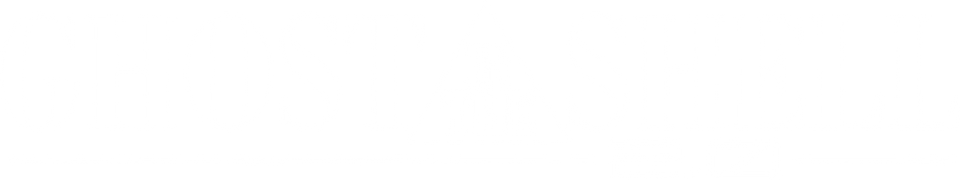 Ghost In The Shell 2.0