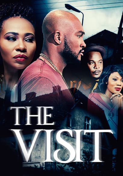 The Visit