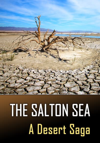 The Salton Sea: A Desert Saga