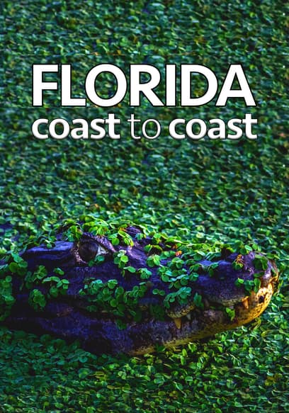 Florida Coast to Coast