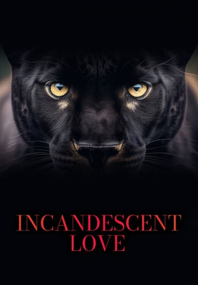 Incandescent Love