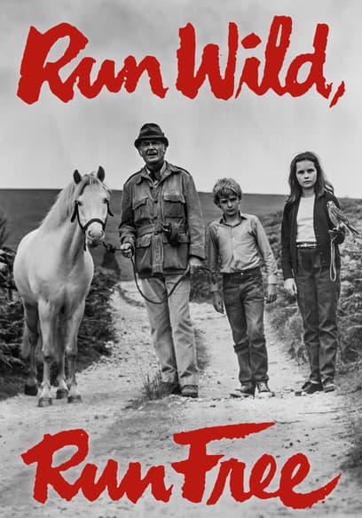 Run Wild, Run Free poster