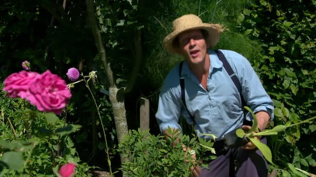 S08:E11 - Episode 11