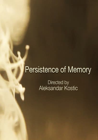 Persistence of Memory