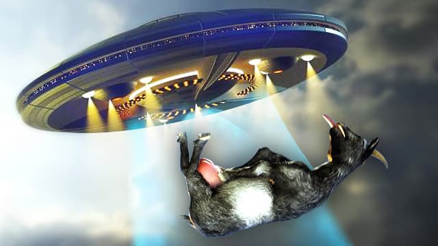 S27:E20 - Crazy Goat Secrets