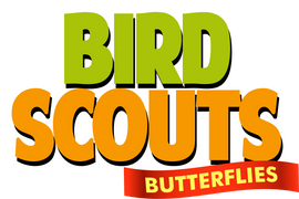 Bird Scouts: Butterflies