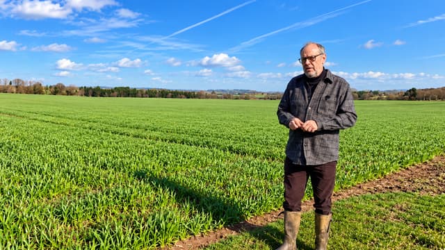 S01:E11 - New Farm Rules & the Future of Tree Planting
