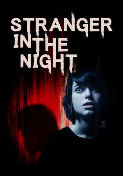 Stranger in the Night