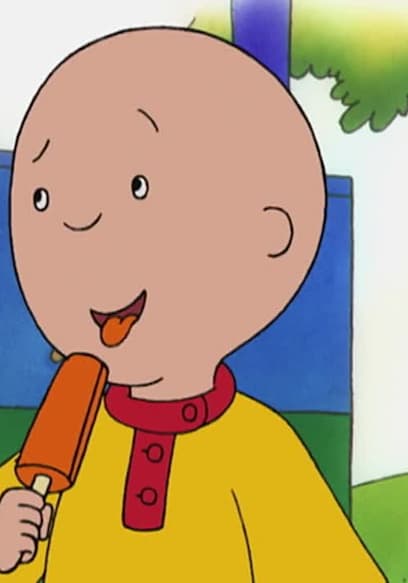 S02:E84 - Caillou's Cross Word // Caillou Meets Robbie // the Pinata // Caillou's Promise poster