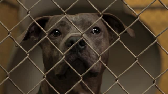 S12:E05 - A Clean Slate