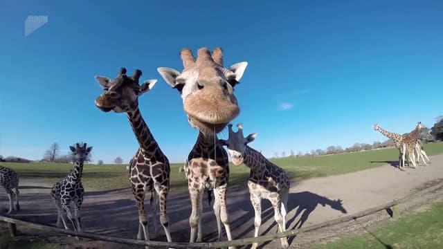 S01:E18 - Episode 18