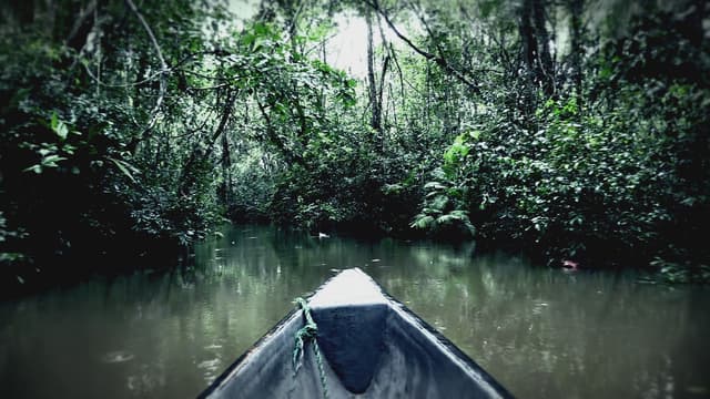 S06:E10 - Monsters Among Us