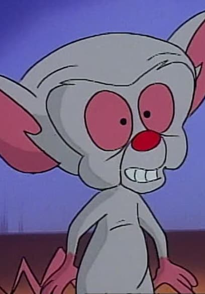 Watch Pinky and the Brain S01:E06 - TV or Not TV - Free TV Shows | Tubi