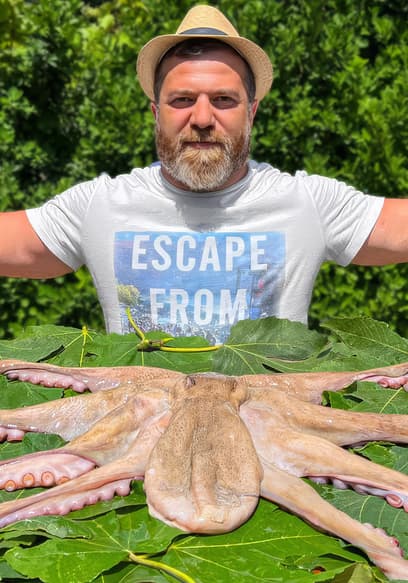 S01:E15 - Paradise Octopus Recipe poster