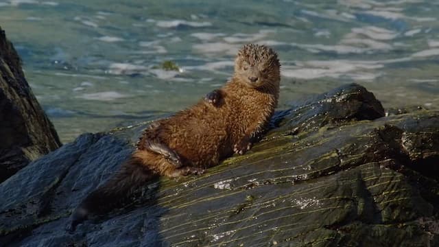 S01:E04 - Chile es un mar