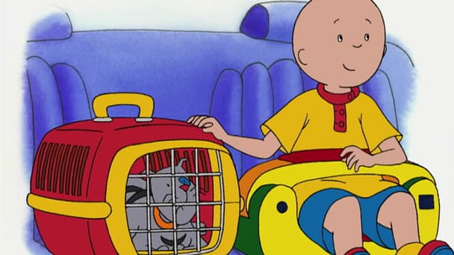S02:E66 - Star Light, Star Bright // All in a Day's Work // the Cat's Meow // Caillou in Space