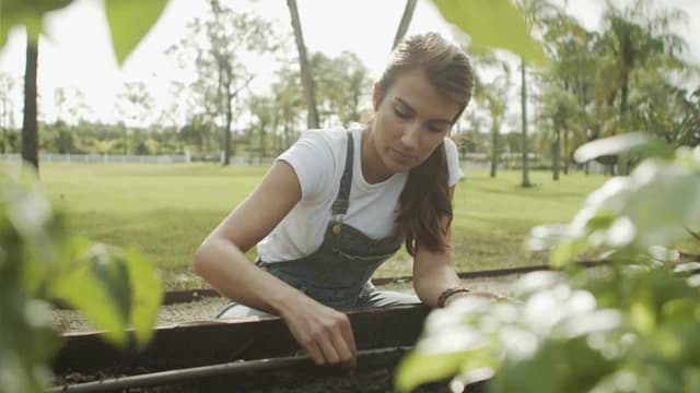 S01:E02 - Good Soil