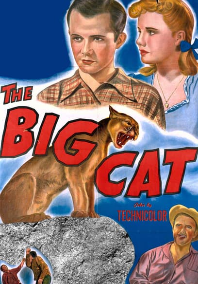 The Big Cat