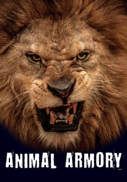 Animal Armory