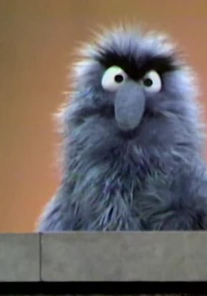 S04:E79 - Cookie Monster’s Birthday poster