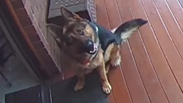 S01:E10 - Episode 10