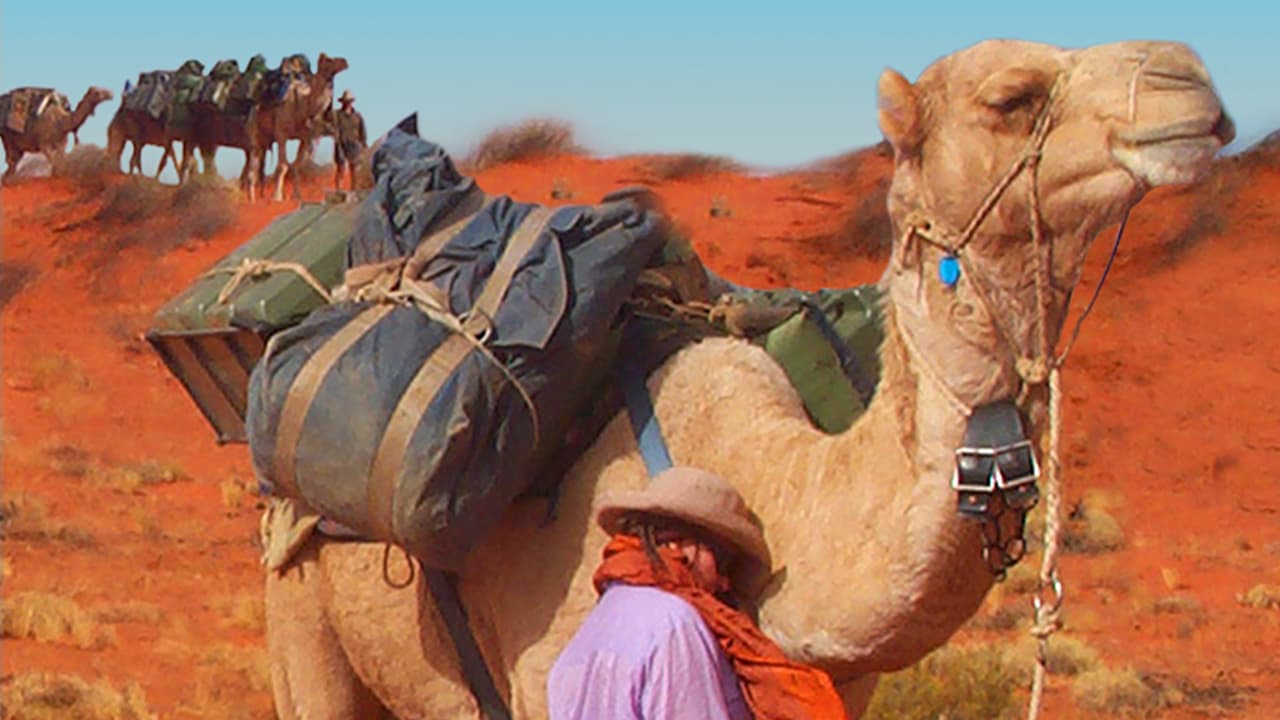 Watch Running Wild, Australia's Camels