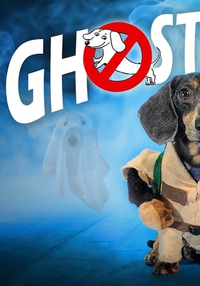 S01:E05 - Ghost Busters (Pts. 1 & 2) poster