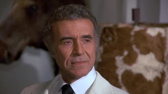 S02:E16 - Substitute Wife / Cowboy