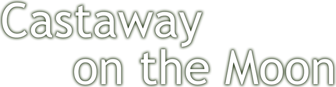 Castaway on the Moon