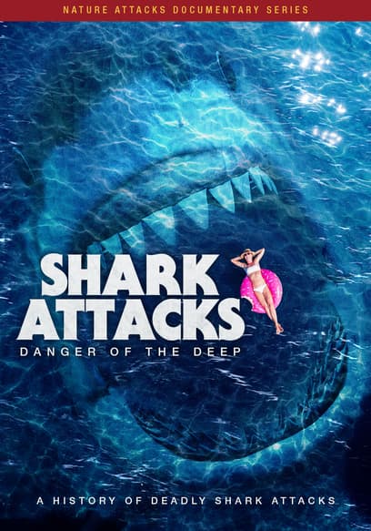Shark Attacks