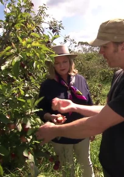 S01:E11 - The Blue Mountains of NSW - Enchanting Food poster