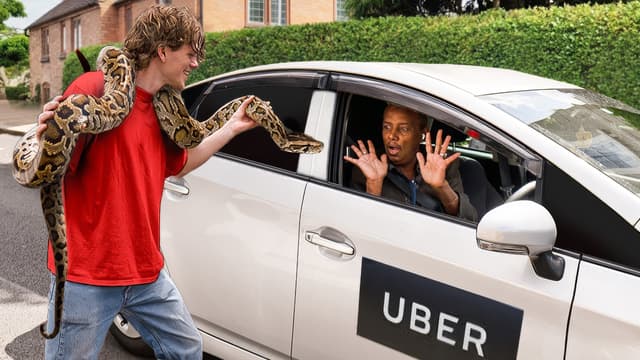 S01:E07 - Pet Friendly' Ubers