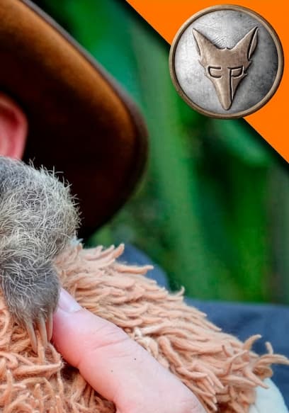 S01:E01 - Nap Time: Baby Sloths & Wombats poster