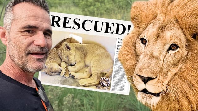 S01:E03 - The Lion King Brothers Who Were Saved as Cubs
