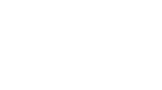 The Knight of Shadows