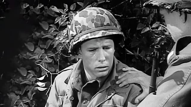 Watch The Big Attack: Combat Heroes of WWII S02:E08 - The Man Who Cried ...