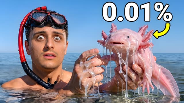S01:E01 - Rare Catch