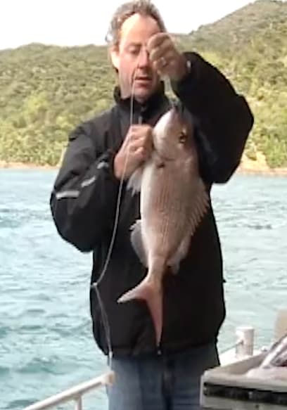 S01:E10 - French Pass Snapper poster