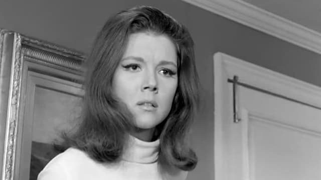 S04:E26 - Honey for the Prince