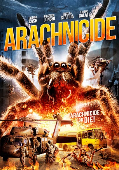 Arachnicide